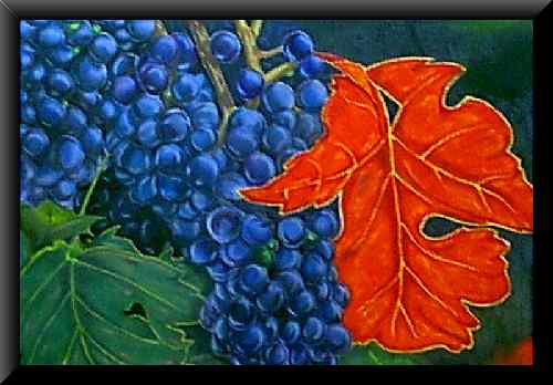 Grapes...May 2000
